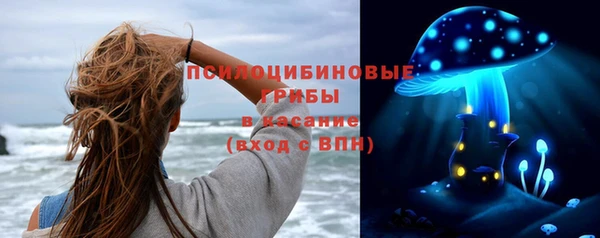 винт Абинск
