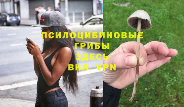 твердый Алзамай