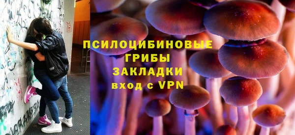 мяу мяу мука Алексеевка