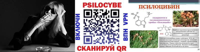 хочу Слюдянка Галлюциногенные грибы MAGIC MUSHROOMS